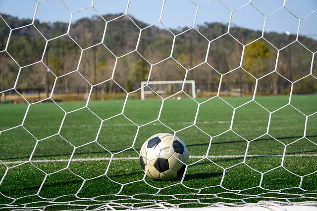 他們都以穩 他們都以穩