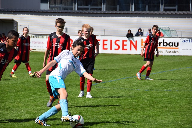 的冠军之队 的冠军之队