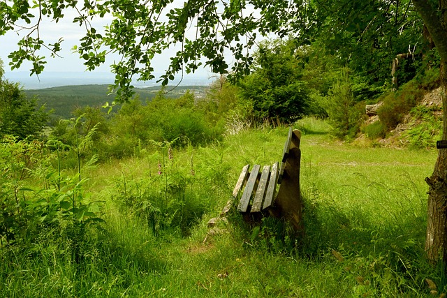 加者进行健 加者进行健