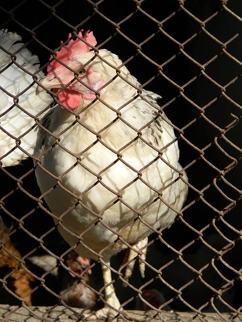 目顺利推进 目顺利推进